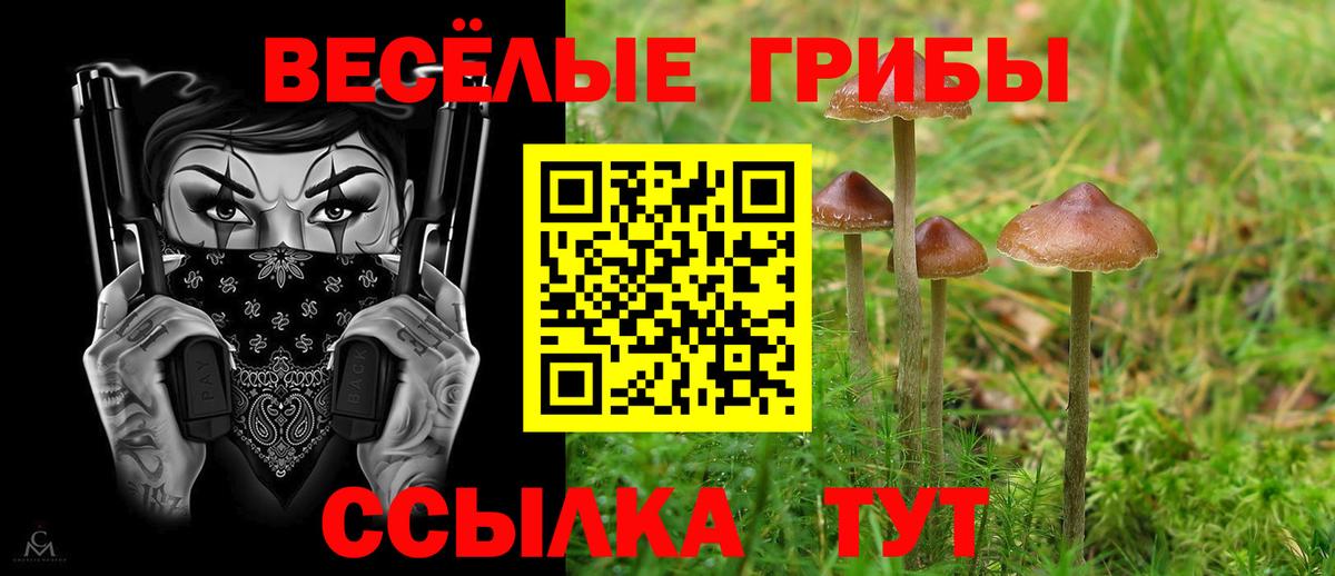 Галлюциногенные грибы Psilocybe  Псилоцибиновые грибы прущие грибы  Урай  Вход с VPN 